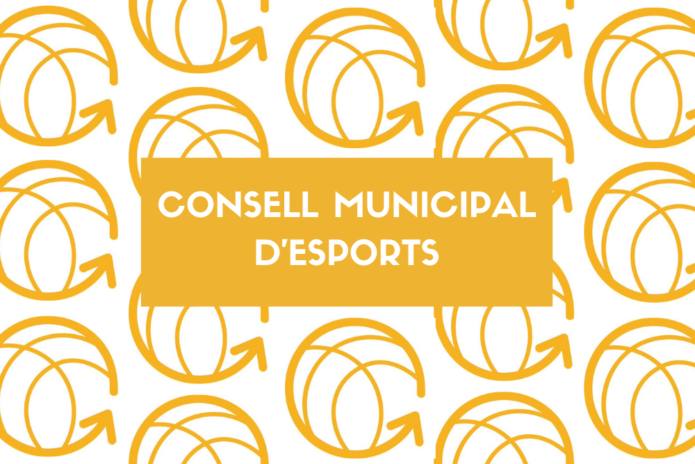 Consejo municipal de Deportes