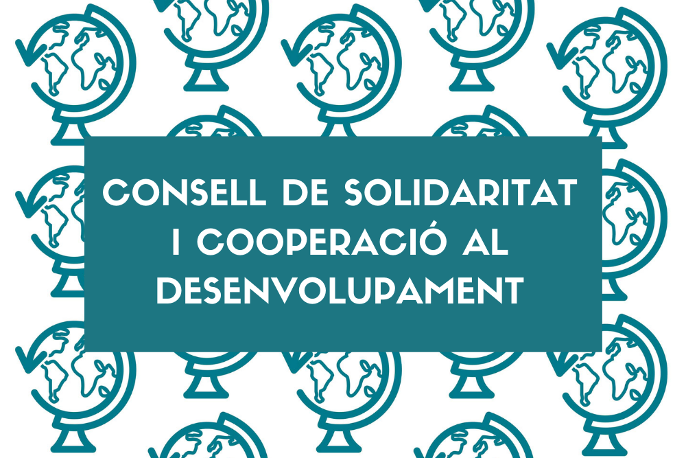 Consell de Cooperació al Desenvolupament